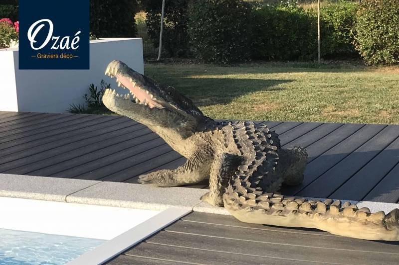 Crocodiles en Résine - Ozaé Graviers Déco