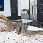 Animaux Résine