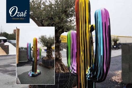 Cactus Trash - Ozaé Graviers Déco