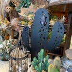 Cactus Colorado - Ozaé Graviers Déco