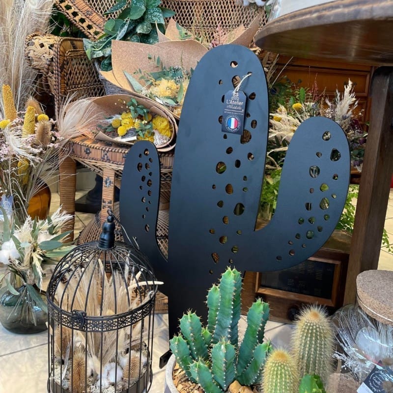 Cactus Colorado Cactus Colorado - Ozaé Graviers Déco