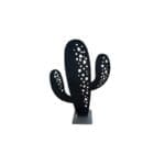 Cactus Colorado - Ozaé Graviers Déco
