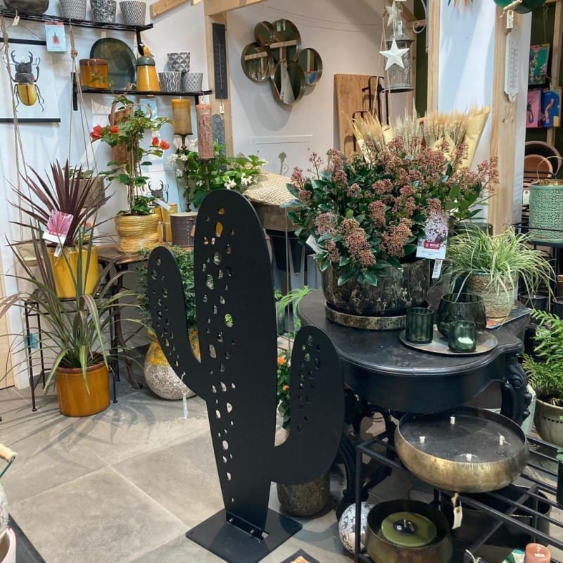 Cactus Colorado Cactus Colorado - Ozaé Graviers Déco