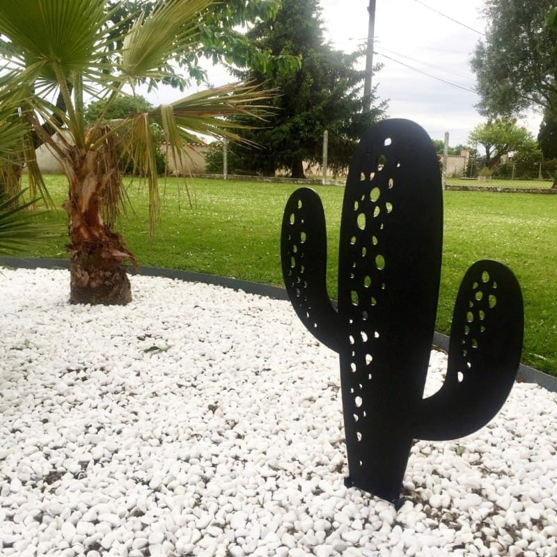 Cactus Colorado Cactus Colorado - Ozaé Graviers Déco