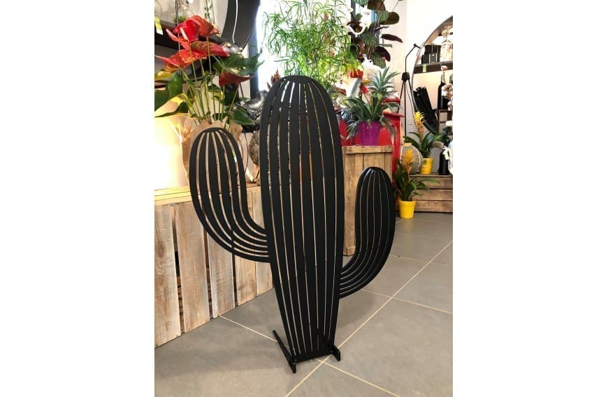 Cactus Mohave - Ozaé Graviers Déco