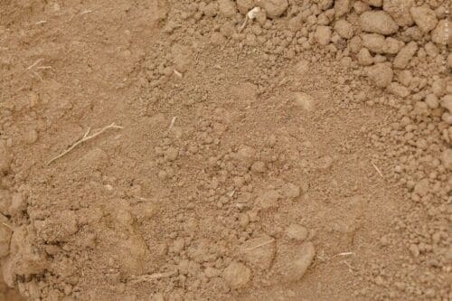 Terre Végétale Ozaé Graviers Déco