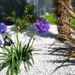 Galets Blancs Purs - Ozaé Graviers Déco