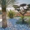 Variété de galets décoratifs dans un jardin paysager
