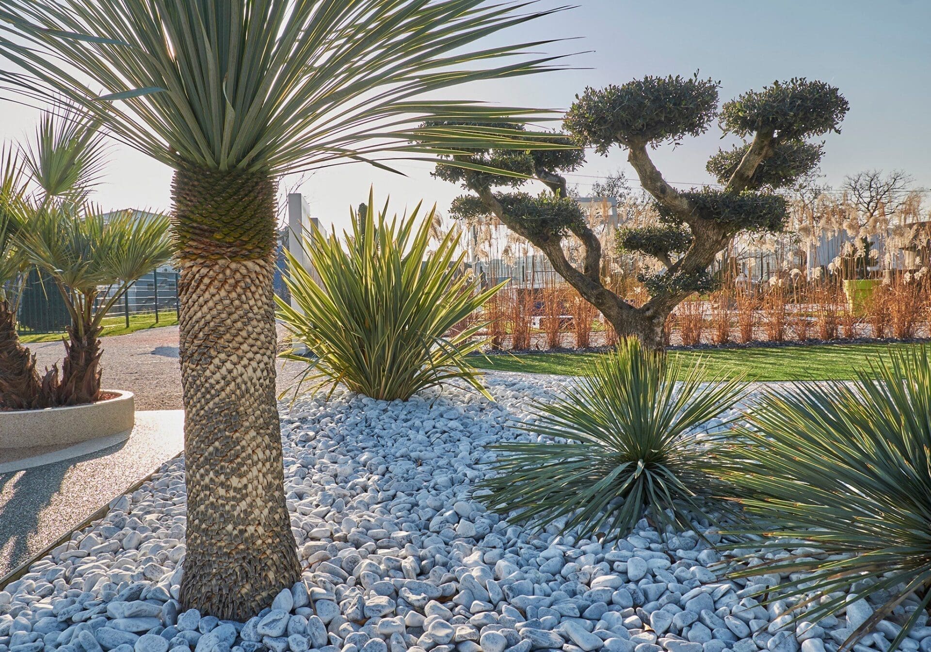 Variété de galets décoratifs dans un jardin paysager