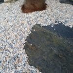 Graviers de chez Ozaé Graviers Déco. Parfait pour embellir vos massifs, vos jardins, vos tours de maison, vos allées de maison, etc. Plusieurs granulométries sont disponibles et plusieurs tonalité. Retrouvez tous nos graviers dans nos agences Ozaé Graviers Déco. Ozaé Graviers Déco Aubigny Ozaé Graviers Déco Les Sables d'Olonnes Ozaé Graviers Déco Les Herbiers Ozaé Graviers Déco Chantonnay Ozaé Graviers Déco Challans Ozaé Graviers Déco Angers Ozaé Graviers Déco Chateaubriant Ozaé Graviers Déco La Rochelle Ozaé Graviers Déco Laval Ozaé Graviers Déco Montélimar