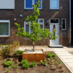Les jardinières en acier Corten sont l'incarnation de l'élégance et du style pour votre aménagement extérieur. Chez Ozaé Graviers Déco, nous vous proposons une gamme de jardinières Corten qui ajoutent une touche de charme unique à vos plantes et à vos espaces extérieurs. L'acier Corten est reconnu pour sa patine rouillée naturelle qui évolue avec le temps, créant ainsi une apparence rustique et chaleureuse. Nos jardinières Corten sont conçues pour résister aux éléments extérieurs tout en apportant une esthétique moderne et intemporelle à votre jardin, terrasse ou balcon. Choisir une jardinière en acier Corten, c'est opter pour une solution durable et esthétiquement plaisante qui s'intègrera harmonieusement à différents styles de décors extérieurs. Vous pouvez utiliser nos jardinières Corten pour mettre en valeur vos plantes préférées, créer des compositions florales captivantes et ajouter une touche de caractère à vos espaces verts. Découvrez la collection de jardinières Corten chez Ozaé Graviers Déco et donnez vie à vos espaces extérieurs avec élégance. Nos jardinières en acier Corten sont conçues pour résister au temps et embelliront vos plantes tout en reflétant votre sens du style et de l'esthétique.
