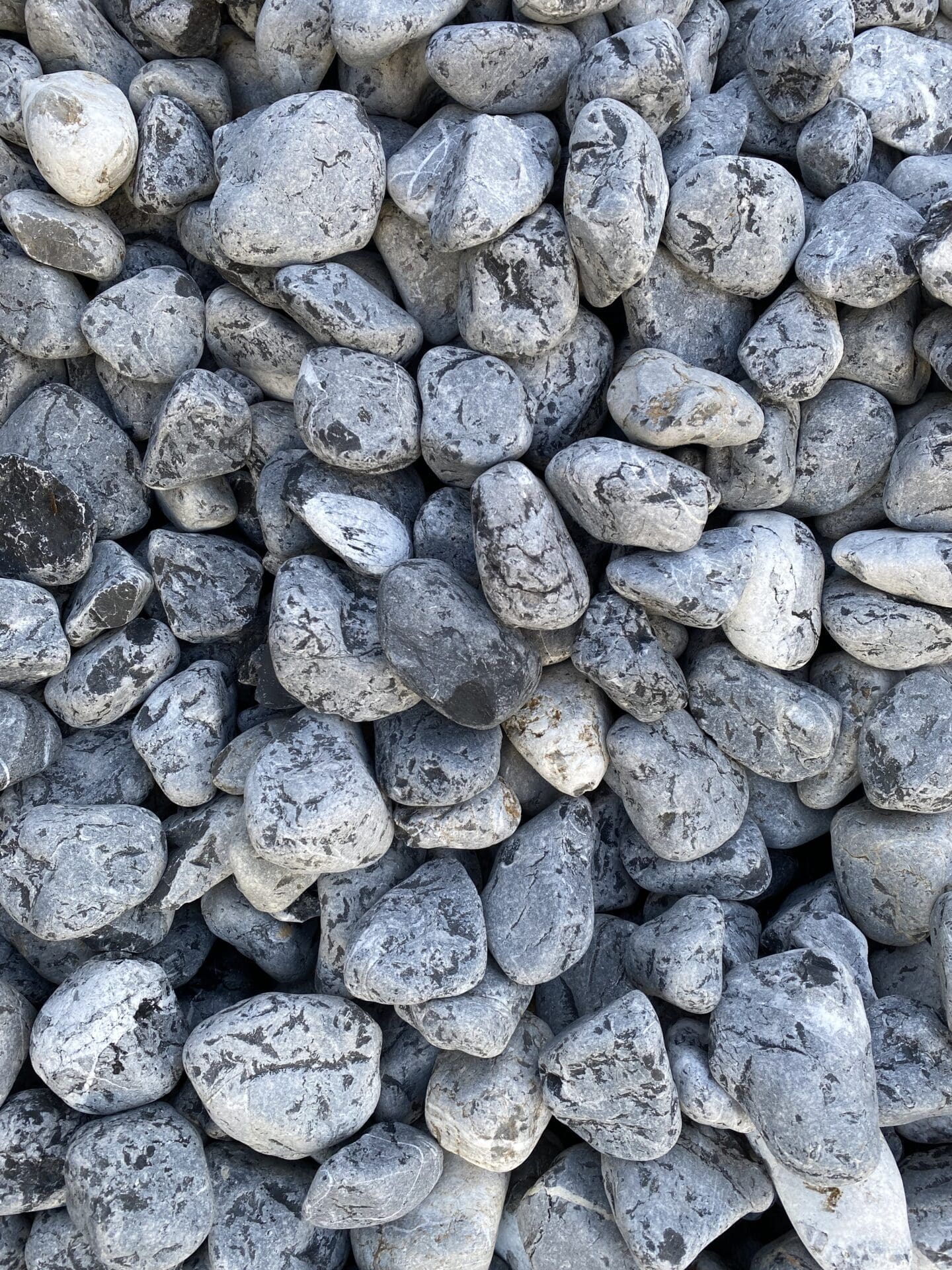 Galets Noirs Veinés Blancs Galets Noirs Veinés Blancs - Ozaé Graviers Déco