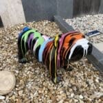 Chiens en Résine - Ozaé Graviers Déco