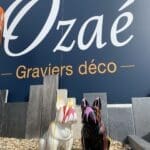 Chiens en Résine - Ozaé Graviers Déco