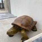 Tortues en Résine - Ozaé Graviers Déco