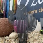 Cactus Mohave - Ozaé Graviers Déco