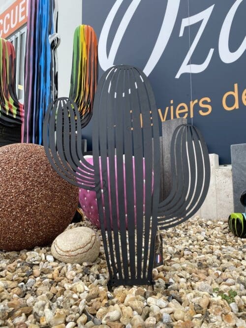 Cactus Mohave - Ozaé Graviers Déco