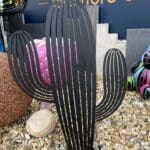 Cactus Mohave - Ozaé Graviers Déco