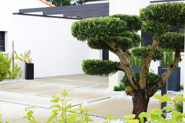 Jardin avec une allée de gravier bien entretenue, bordée de plantes et de fleurs.