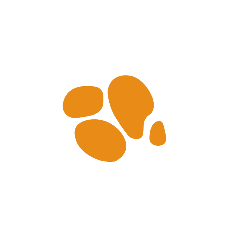 OZAE LOGO SymboleMassifSSfondRVB